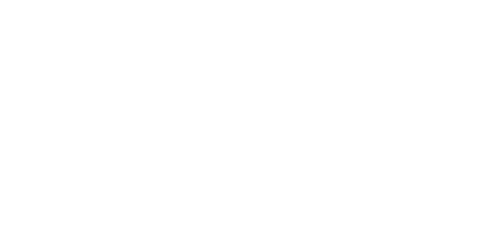 The Startup Branding
